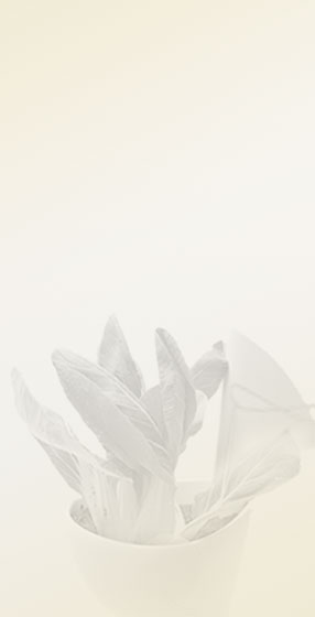 盆景园
